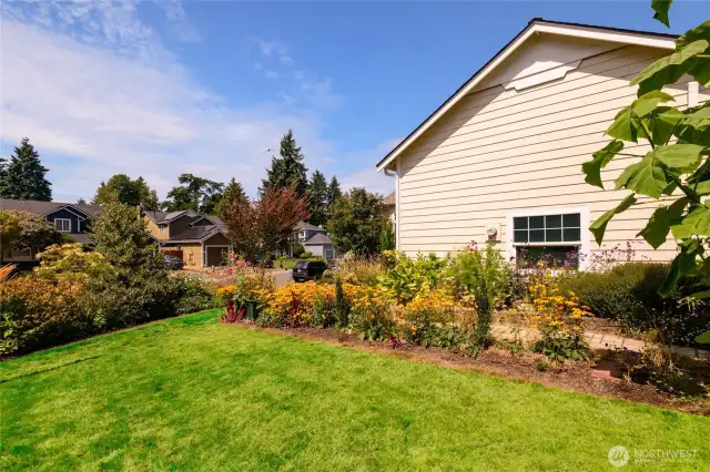 Fabulous side yard with a host of interesting plants and flowers.