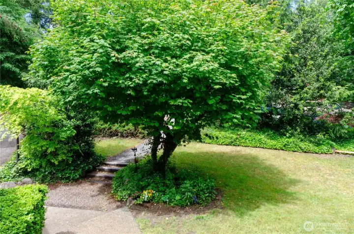 This yard has so much character - you'll love it!