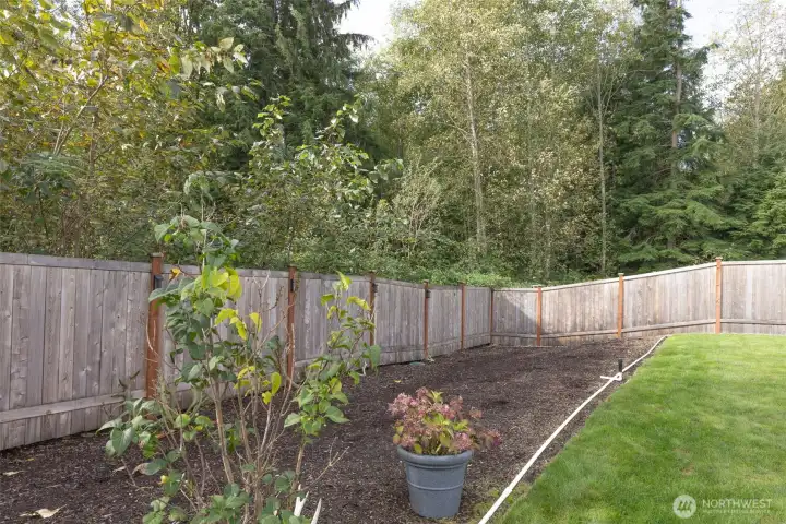 Lots of space to garden