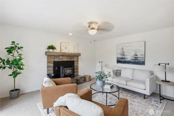 Family room and pellet stove insert