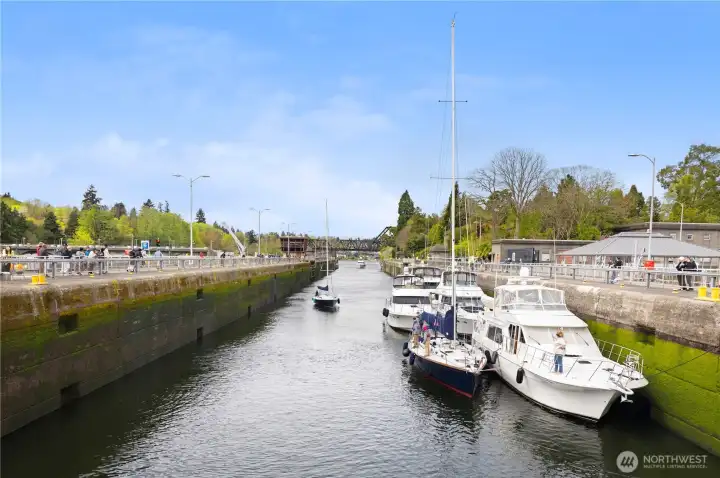 Walk down to the Ballard Locks for a look at PNW maritime history!