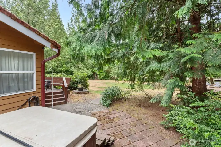Backyard view from hot tub.