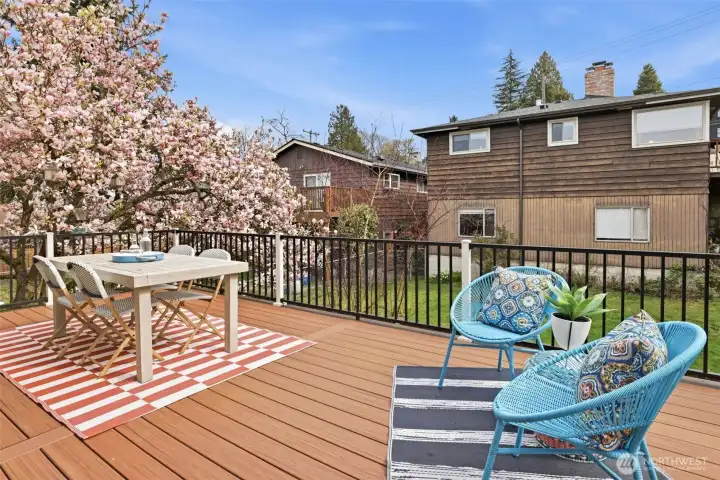 Back deck off of the primary installed in 2022.