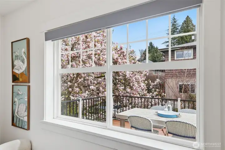 View of Magnolia tree from third bedroom.