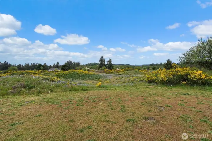 Spacious backyard with territorial views!