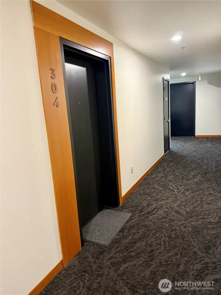 Fresh hallway paint, carpets and lighting welcome you to 304!