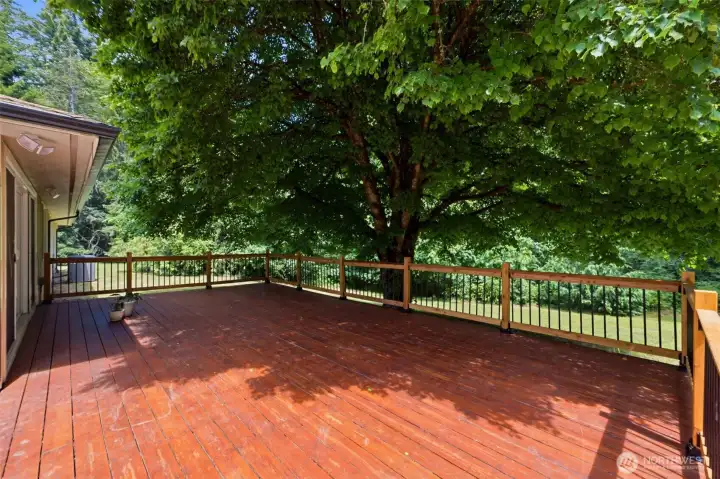 Expand your living space outdoors on this massive deck, perfect for hosting large gatherings or simply relaxing in the sun.