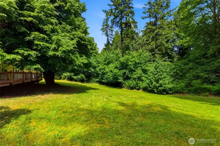 The sprawling, park-like lawn offers a serene, wide-open setting perfect for outdoor games and relaxation.