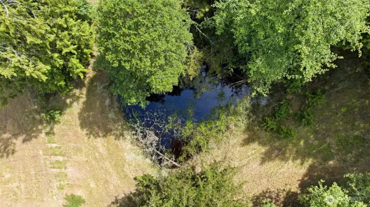 Unwind by the calm waters of your own private pond, a beautiful natural focal point on this stunning 6.5-acre estate.