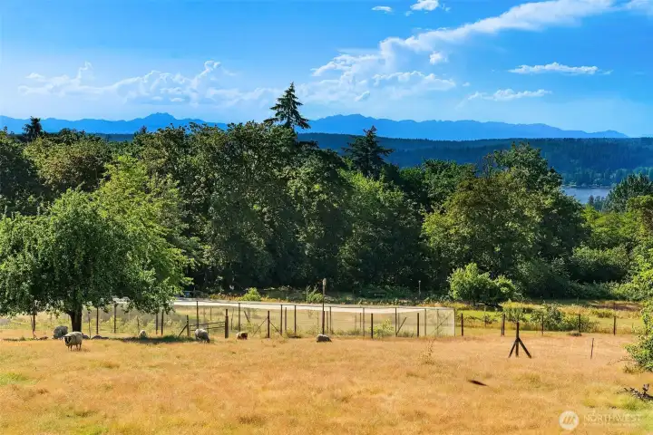 Sound and mountain views