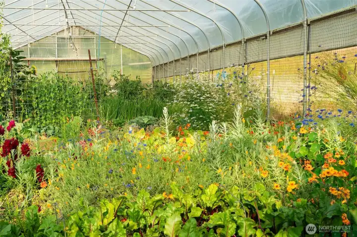 2 30’ X 90’ greenhouses (5400 square feet) with power/water connections. Sliding doors for 3-4 season growing