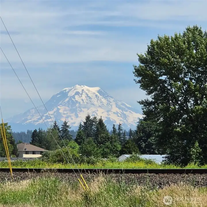 MOUNT RAINIER