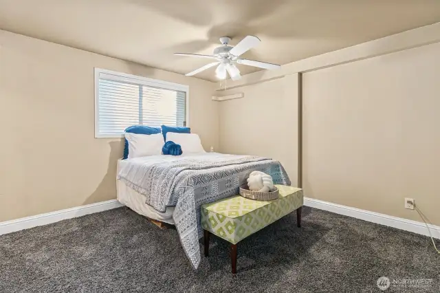 Large lower level bedroom.