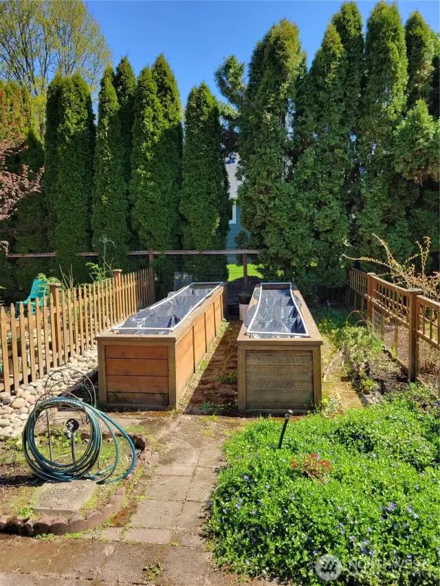 Raised Garden