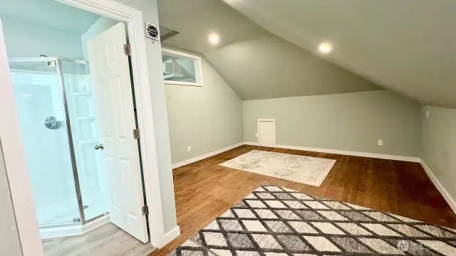 bonus area in attic
