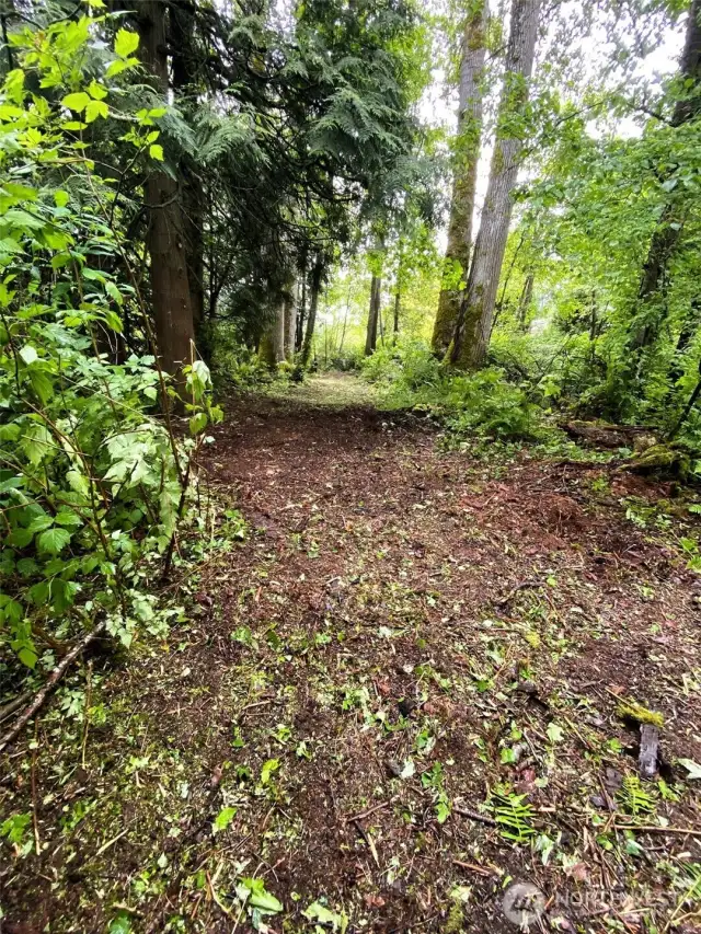 Cleared path for easy access & viewing