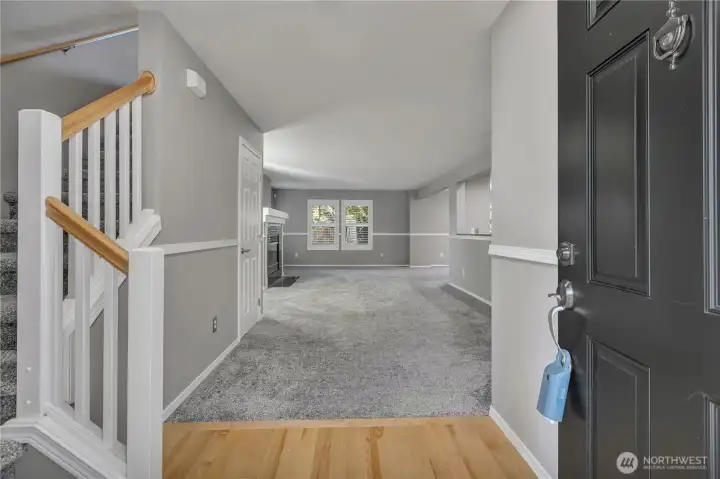 Step inside to open, light-filled living spaces.