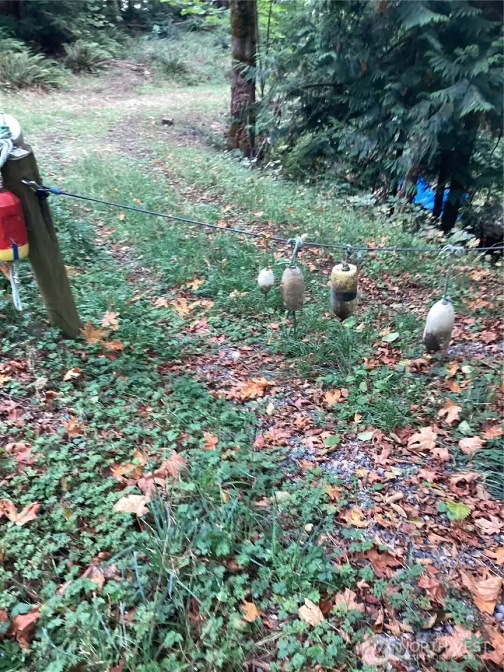 Some clearing for access lot is vacant land