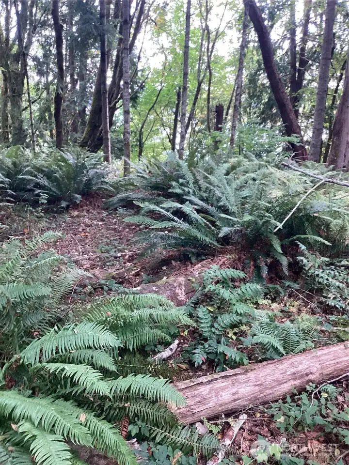 Use Caution when walking the property