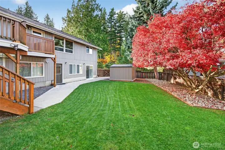 Fully fenced backyard, w/ gorgeous Japanese Maple Tree. Separate entrance to lower unit. 2 storage sheds