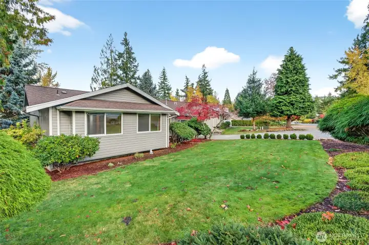 Well cared for front yard.