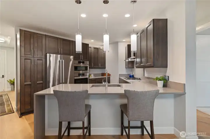Gorgeous gourmet kitchen with expansive quartz counters, rich cabinetry, and premium stainless appliances