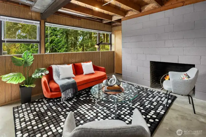 The lower level has high ceilings, lots of windows, opens to the large backyard.  A wood-burning fireplace in the hang-out area keeps things cozy.