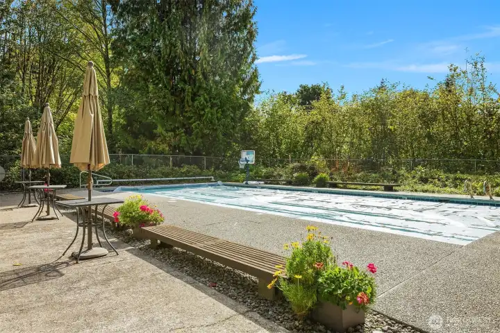 This gorgeous pool is closed for the season, but in just a few short months this could be you--lounging poolside with your new neighbor-friends!