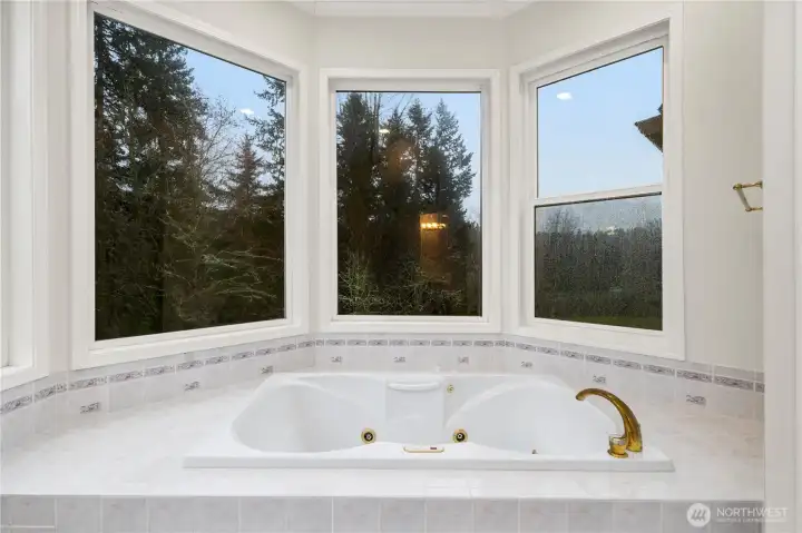 Soaking Tub With a View