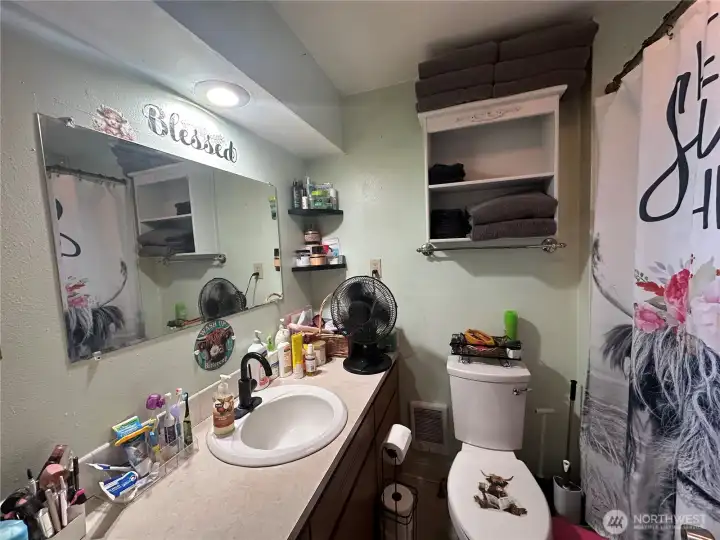 Main floor bathroom off of bedroom