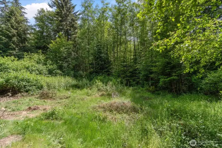 Back yard = 4.59 acres