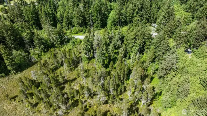 Another view of the landscape.  House is in the right corner.