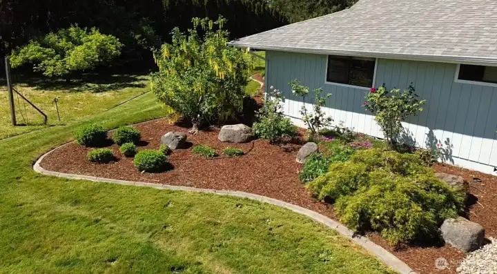 Established garden area with fruit trees and productive outdoor space