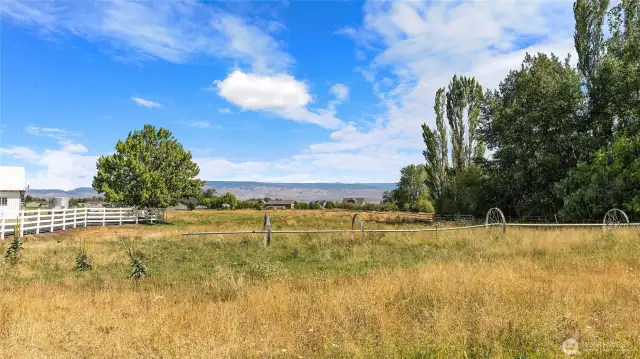 East field - irrigated with a wheeline.