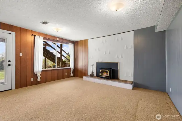 Lower level Family Room