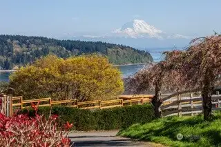 View from Driveway