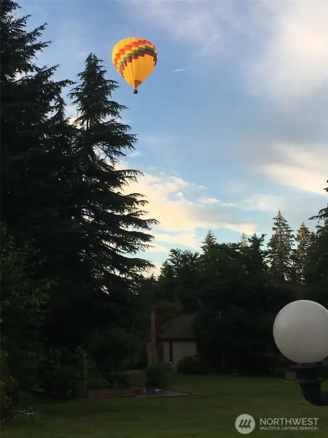 Hot air balloon flying over the back yard.