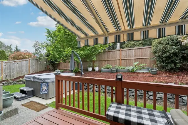Backyard oasis