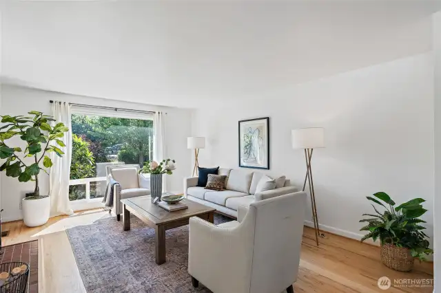 Sun Drenched Living Room