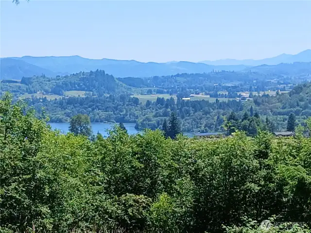Clear some timber and see more lake.