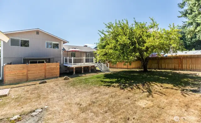 Large, level back yard