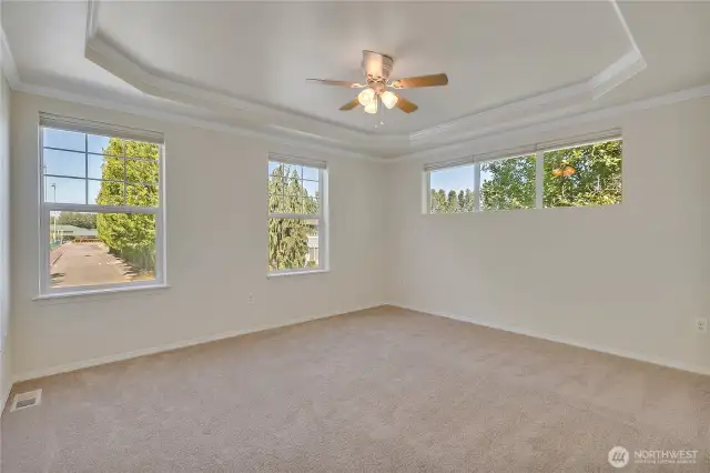 Primary bedroom with tray ceiling & lots of windows for natural light ~