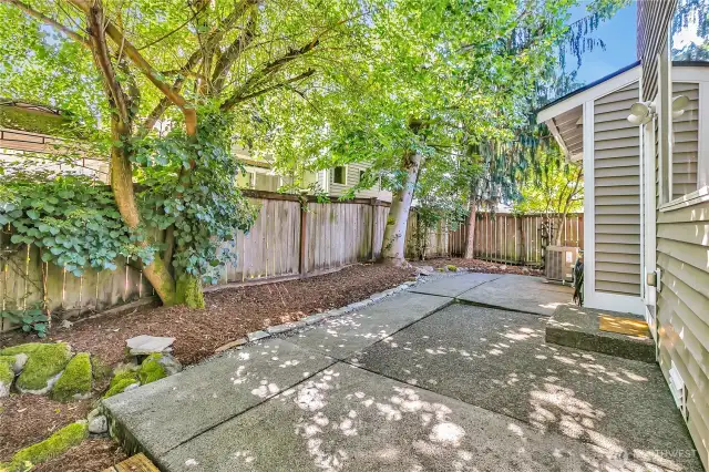 Very private back patio ~