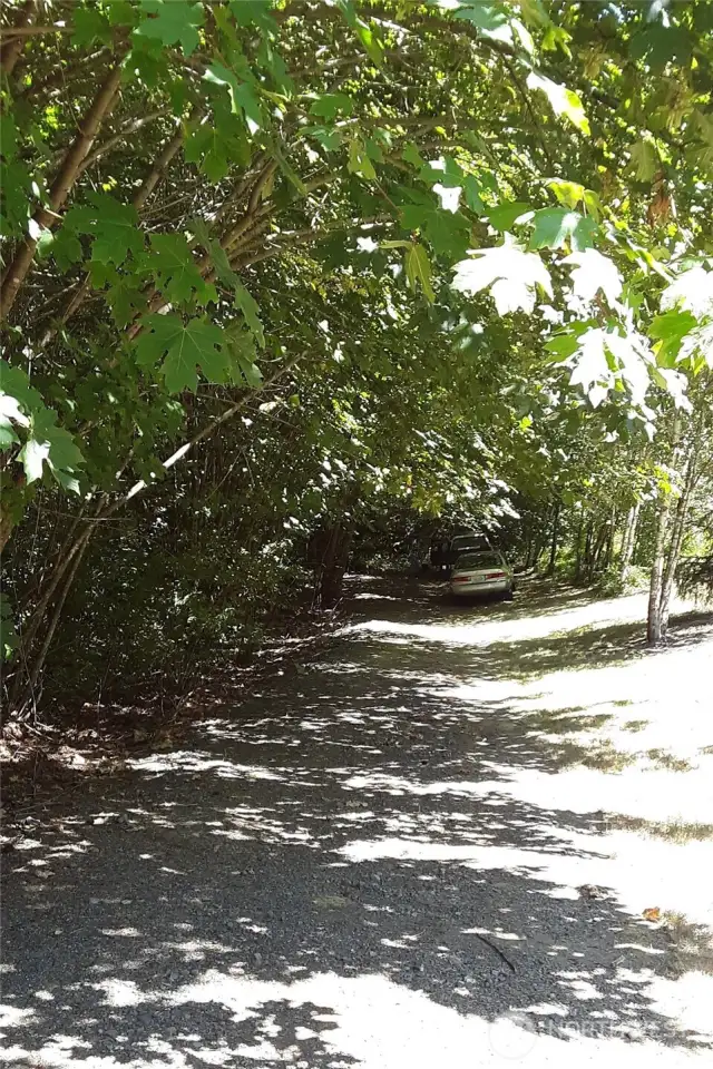 Gravel drive looking east.  Spacious parking area at end, near cable gate.