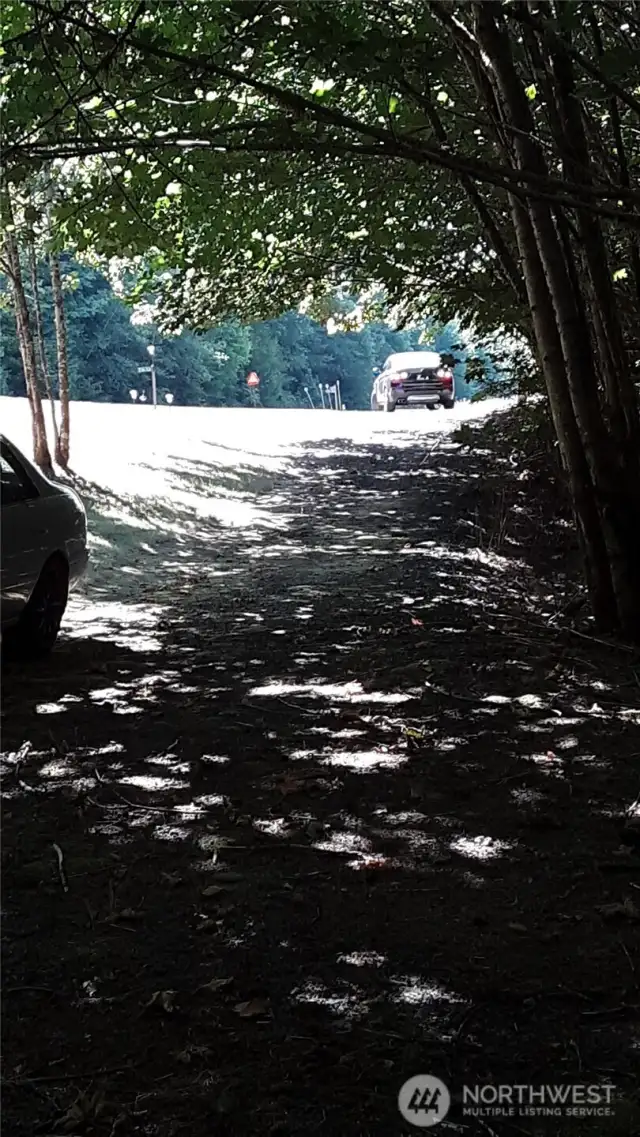 Gravel drive, looking west from the parking area.