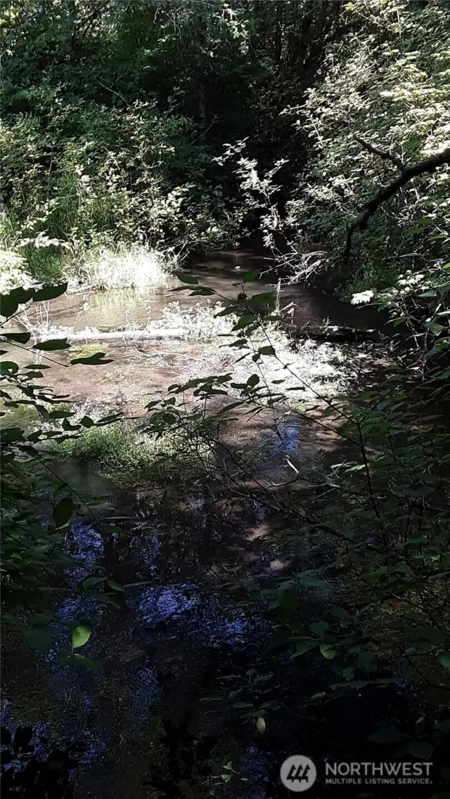 Indian Creek, viewed downstream.