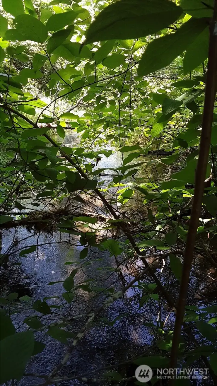 Indian Creek, viewed upstream from the log bridge.
