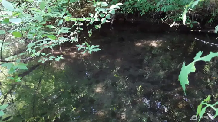 Slackwater.  Indian Creek flows out of Lake Sutherland and may sometimes carry fish.