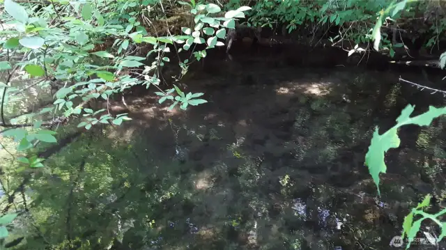 Slackwater.  Indian Creek flows out of Lake Sutherland and may sometimes carry fish.