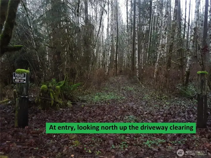 November views.  Entry gate, looking north